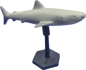 Air Shark 2