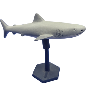 3117 Air Shark