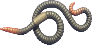 Gworm