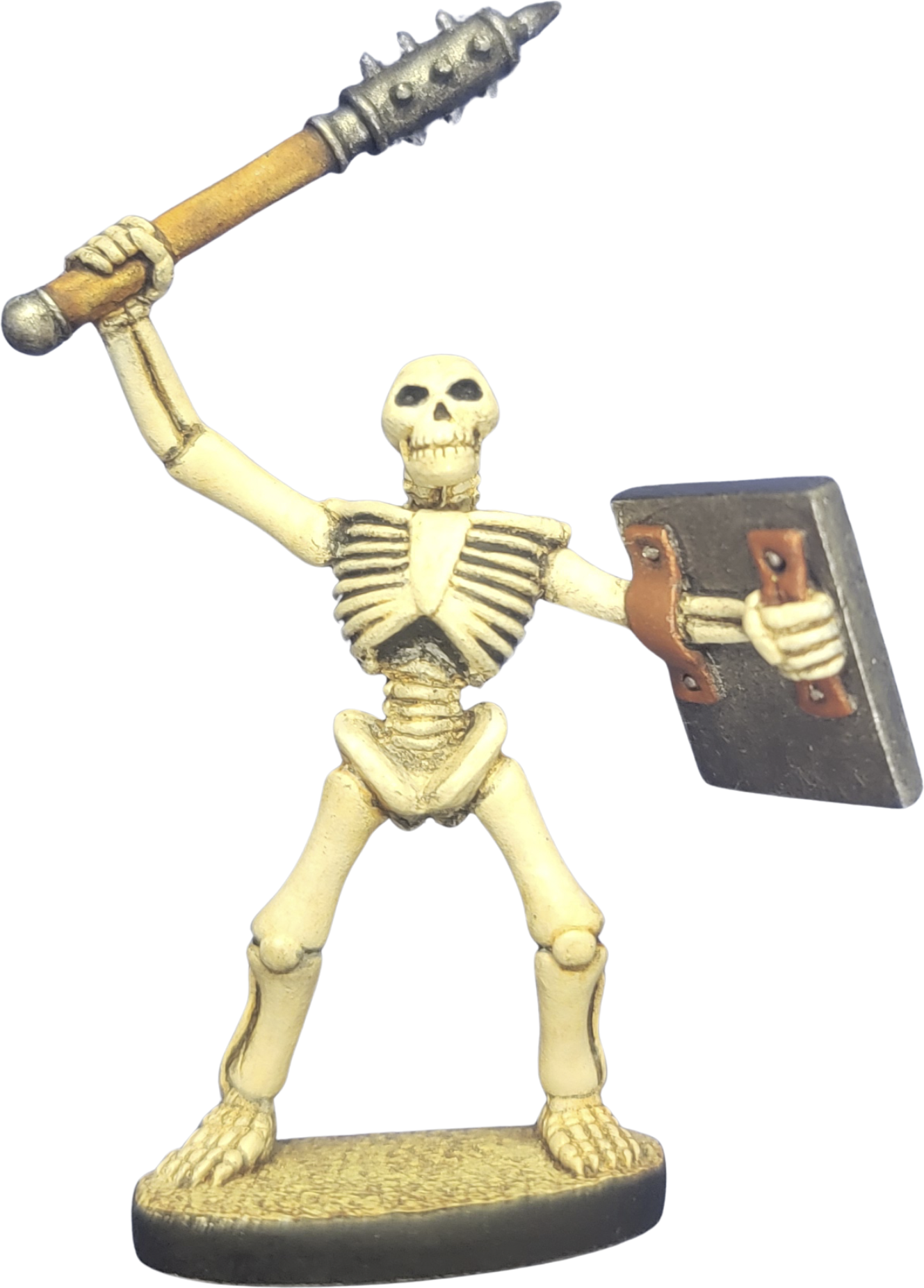 Skeleton with Mace & Shield