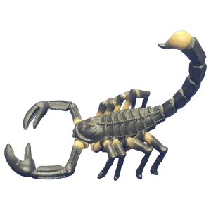 3123 Black Scorpion