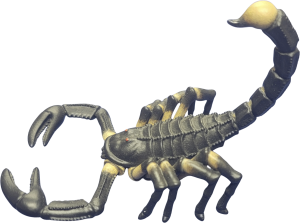 Black Scorpion