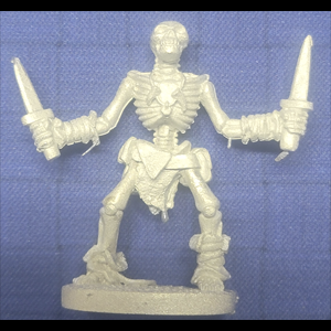 Skeleton of North Two Knives